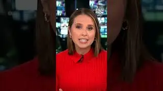 Владельцы ранчо крупного рогатого скота критикуют план президента Трампа закупить говядину из Арг...