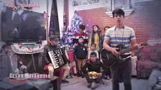 Claveles y Rosa en Acordeon Julio Mayancela