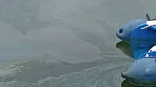 DPOL&reg; for Hydrocarbons | Fast Oil Spill Response in Ports & Lakes