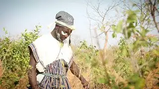 GOLI PART 2 // NEW DAGBANI FILMS (@)2026