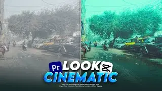 Make Your Videos Cinematic | Color Grading in Premiere Pro & CapCut