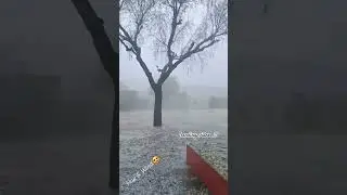 Snowfall...enjoy life...#snowfall #enjoy #trending #love