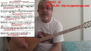 SOLFEJ AHMET KAYA GELECEĞİM KISA SAP BAĞLAMA EKLEYEN SURGEON