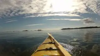 V&auml;nerpaddling, S&auml;ffle - Halleberg