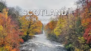 Wonders of Scotland | The most beautiful Nature Walk in Scotland | Walking Tour 4k