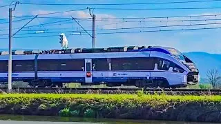 PESA DART ED161-xxx ⚪🔵 IC 4120 DASZYŃSKI 🔹Goczałkowice-Zdr&oacute;j🔹➡️ Białystok 