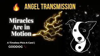 🔥 ANGEL TRANSMISSION: Miracles Are in Motion | GODDOG🐾