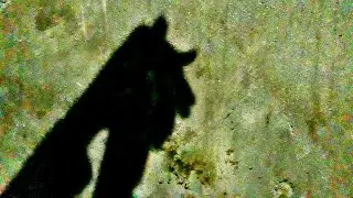 monkey hand shadow puppet