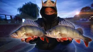 I met the 👑 King 👑 of England Perch Fishing! (He ALWAYS catches 🤯 🇬🇧 🎣) 