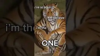 lazy sync #memes
