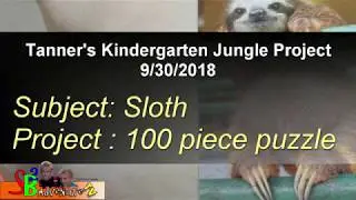 Tanner's Kindergarten Project - Sloth Puzzle