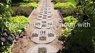 Exploring Michigan - Dow Gardens at Midland, Michigan (One Sunday afternoon with Nature)