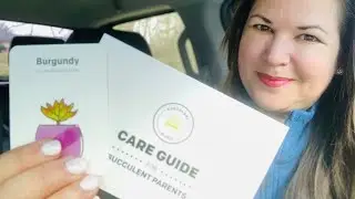 Succulent Studios Review {The Daily Dash: January 15, 2020} #SucculentStudios
