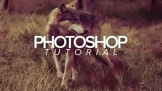 Tutorial | Photoshop | Autumn-Red Effect