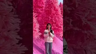 Places on Earth that don't feel real 😱 #travel #shortsfeed #beautiful #trendingshorts #explore