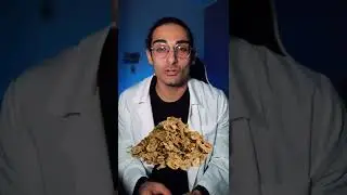 Quali Sono Gli Alimenti Pi&ugrave; Proteici del Mondo?