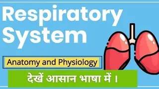 Basics of Respiratory system l #basicknowledge #chestinfection #bacterialdiseases #lunginfection