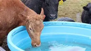 Water on the farm – Part 1 (2021)