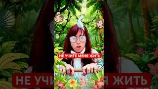 🦜 Не учите меня жить 🦜