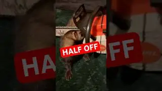 Half-Off Economics