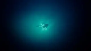 Kjetil C Astrup for Nordic Ocean Watch - Subtitled