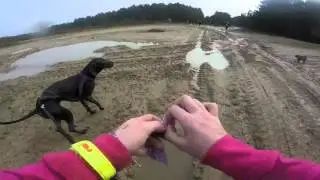 brutal edit