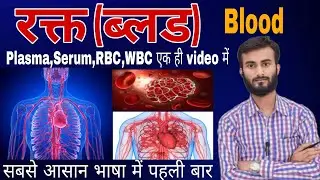 मानव रक्त|Human blood |RBC |WBC |Platelets| Biology ||blood in Hindi ||rakt || types of Blood 