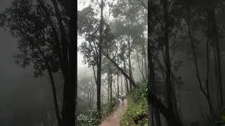 Western Ghats Green Beauty 🌿🚙 #shorts #youtubeshorts #travel #viral #shortvideo #westernghats