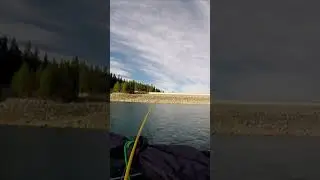 How’d We MissThis One?  #Fishing #Shorts #Subscribe #Like #Kokanee
