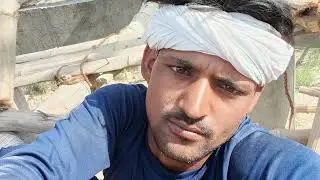 @arti devi.xyz406 Live Stream #short #viralshort