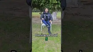 How to seem super dominant #psychology  #body_language