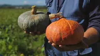 BioEsperia
