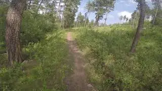 Tenere 700 single track