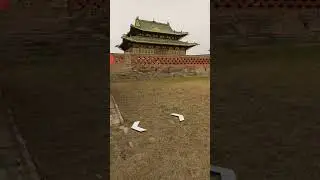 Medieval Buddhist Erdene Zuu Monastery Kharkhorin Karakorum Orkhon Valley Mongolia Asia #google #100
