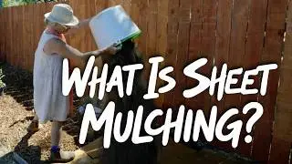 Cardboard Mulch = No More Weeds (Sheet Mulching Method!)