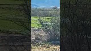 ￼ We&rsquo;re buying land in Mexico. Acres as low as $200.