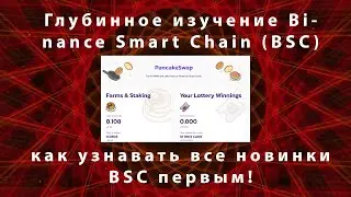 Глубинное изучение Binance Smart Chain (BSC) - как узнавать все новинки BSC первым!