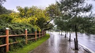 جولة في مدينة طنجة تحت الأمطار وسط الطبيعة | إنها المغرب وليست أوروبا 🇲🇦😍🌧️