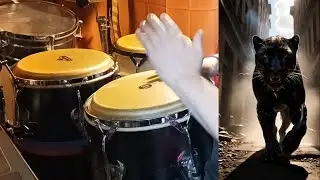 MAMBO CATS Feat. SIM-1 