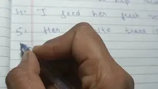 10 Lines Essay on my pet Rabbit🐇|| Essay on my pet Rabbit in English||10 Easy Sentences about Rabbit