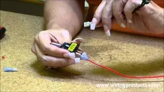 LED Toggle Switch for automotive use with Wiring Products