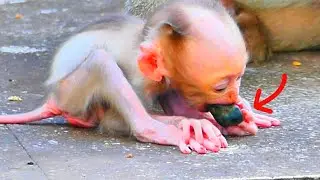 Almost unbelievable..! Granny Pinka's given a cute newborn.! Mom not enough milk for hungry BB..!