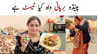 How to make Pakistani Punjabi style biryani | Family Volgs in Punjab Pakistan and India,