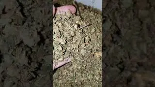 CBD VIDEO TRIM