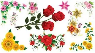 Free Download Set Of PNG Flowers | Corner Flower PNG Free