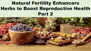 Natural Fertility Enhancers: Top Herbs to Boost Reproductive Health - Part 2