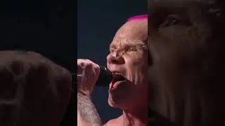Find yourself someone that loves you like Flea loves&hellip; everything | #VMAs #RHCP #shorts