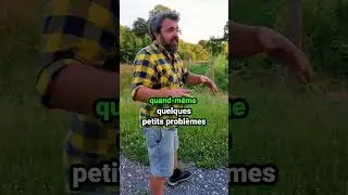 Tomate : on taille ou pas ? Partie 3