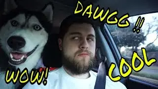 Preston and puppy Payne dog park ADVENTURE!!