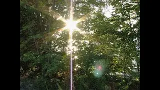 ✦ free sad shoegaze / alternative type beat 
